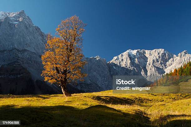 추절 오스트리아에 가을에 대한 스톡 사진 및 기타 이미지 - 가을, 개념, 경관