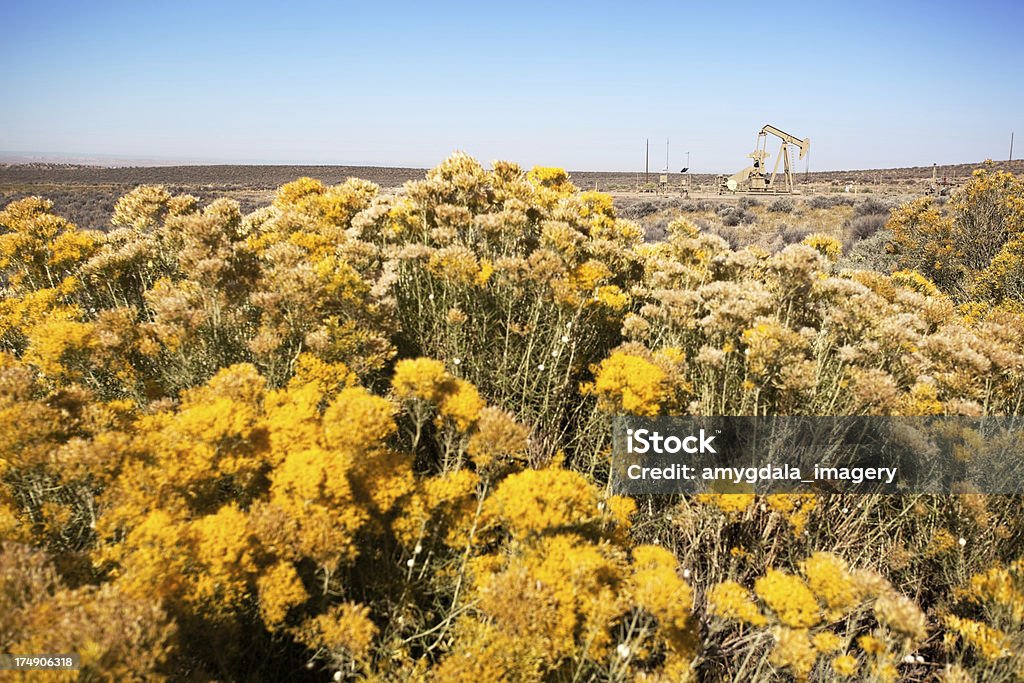 Wüstenlandschaft Bohrinsel - Lizenzfrei Baumblüte Stock-Foto