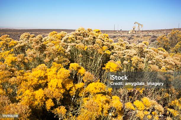 砂漠石油掘削装置 - Horizonのストックフォトや画像を多数ご用意 - Horizon, なだらかな起伏のある地形, アウトフォーカス
