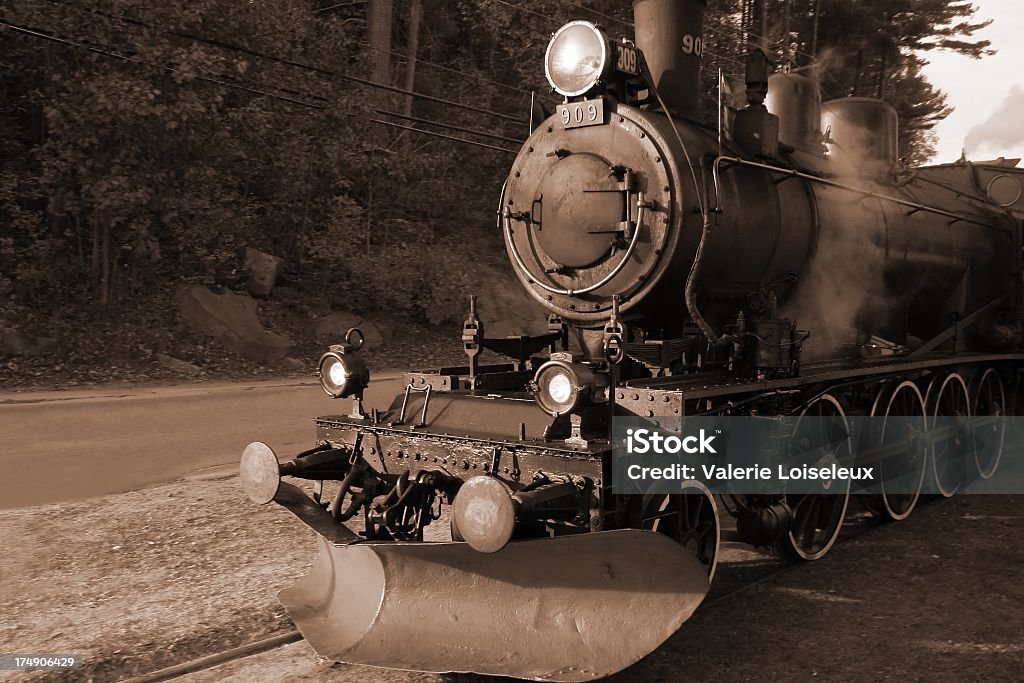 Treno a vapore (Seppia - Foto stock royalty-free di America del Nord