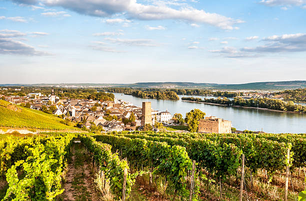 View of homes, vineyards, and lake in Reudesheim, Germany stock photo