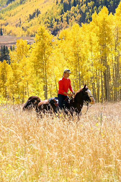 istock horseback riding landscape autumn 174906890