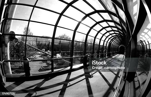 Túnel Moderna De Vidrio Foto de stock y más banco de imágenes de Abstracto - Abstracto, Arcada, Arco - Característica arquitectónica