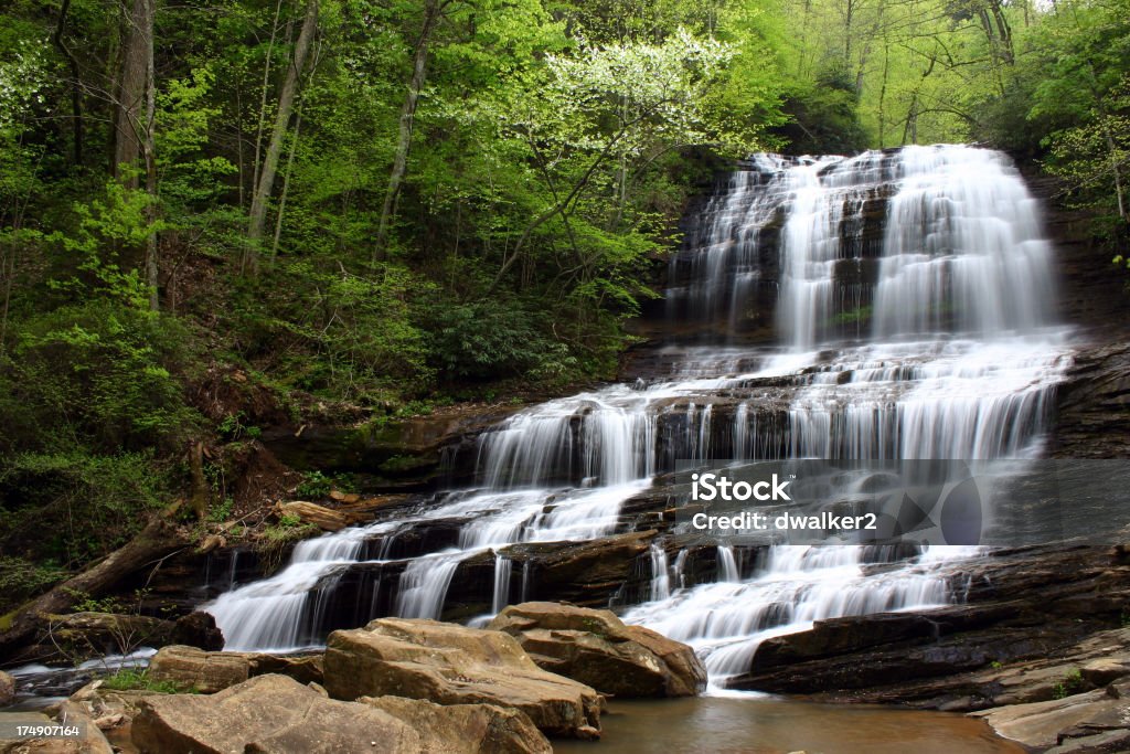 Cascada de resorte - Foto de stock de Montañas Blue Ridge libre de derechos