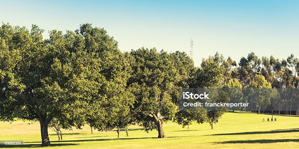 Los angeles park - Lizenzfrei Baum Stock-Foto
