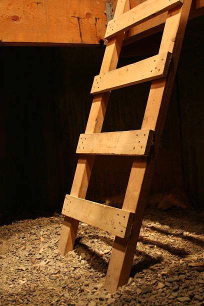 梯子 - basement spooky cellar door ストックフォトと画像