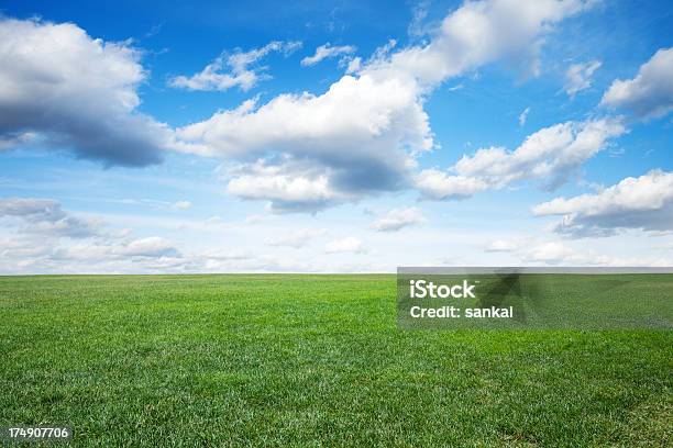 녹색 잔디 아래 필드에 Blue Sky 0명에 대한 스톡 사진 및 기타 이미지 - 0명, 경관, 고요한 장면