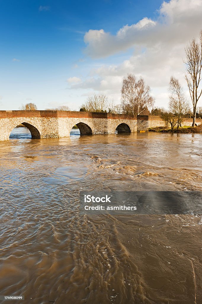 Ponte Tywford em Yalding - Royalty-free Ao Ar Livre Foto de stock