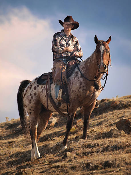 Cowboy en Ridge - foto de stock