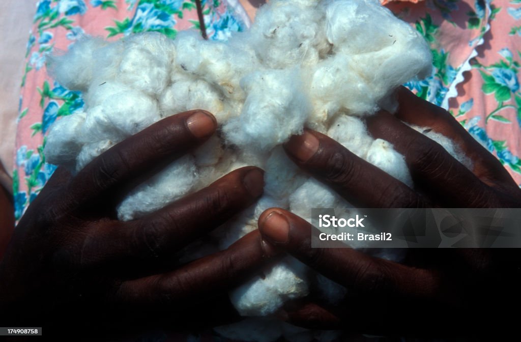 Produttore di cotone - Foto stock royalty-free di Africa