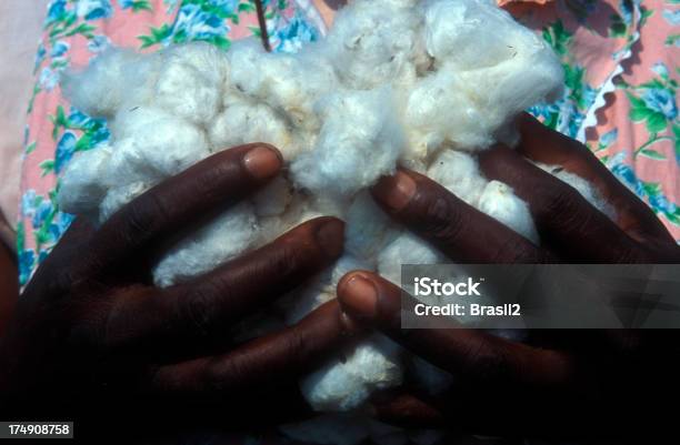 Produttore Di Cotone - Fotografie stock e altre immagini di Africa - Africa, Campo, Colore nero