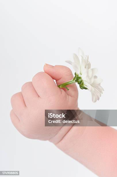 아기 손으로 준수라는 꽃 0-11 개월에 대한 스톡 사진 및 기타 이미지 - 0-11 개월, 1개월, 건강한 생활방식