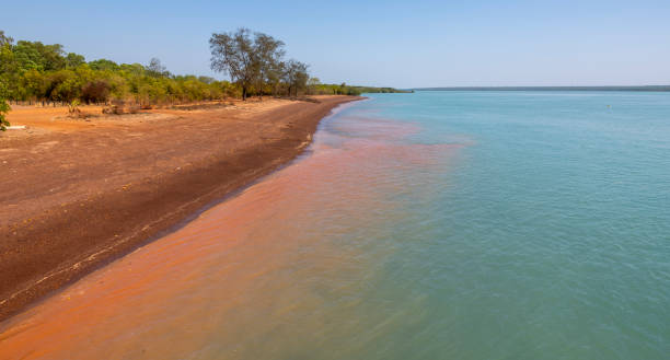 istock Beach on Bathurst Island, Tiwi Islands, Australia 1749088686
