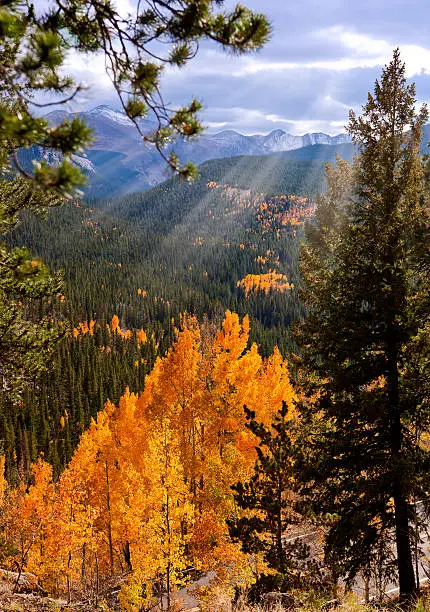 Photo of Mt. Evans Overlook in Fall