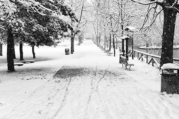istock City Park. Black and White 174909014