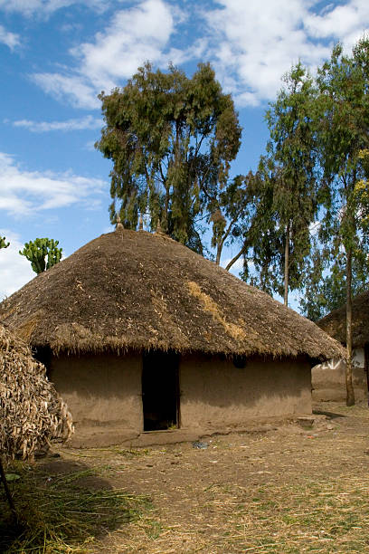 capanne africana - hut africa grass hut mud hut foto e immagini stock