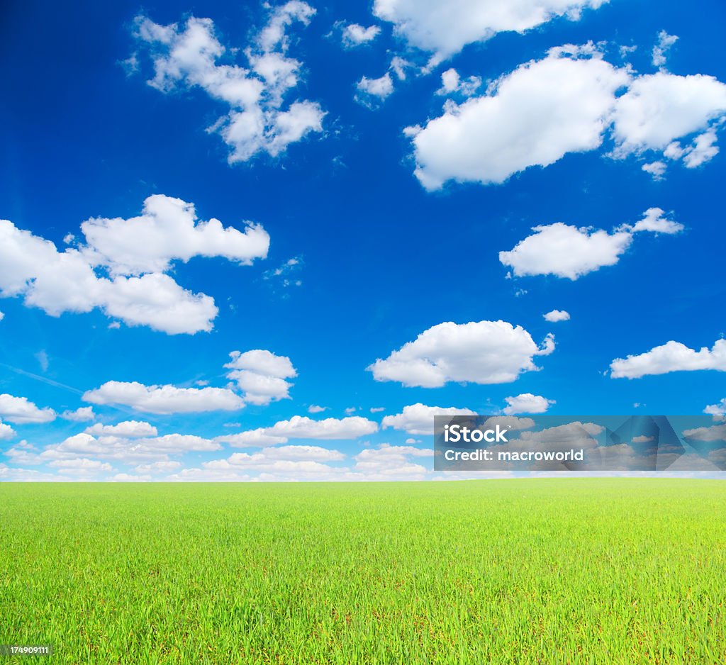 Sommer-Landschaft - Lizenzfrei Blau Stock-Foto