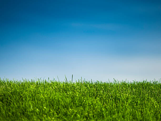 istock Outdoor fresh air background 174909398