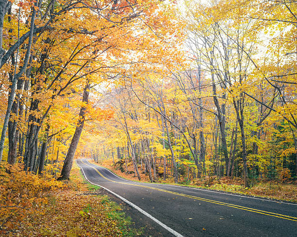 outono estrada rural 41 no michigan península superior - country road winding road road michigan imagens e fotografias de stock