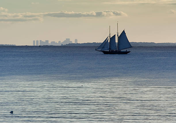 Classic Schooner Tall Ship At Sea