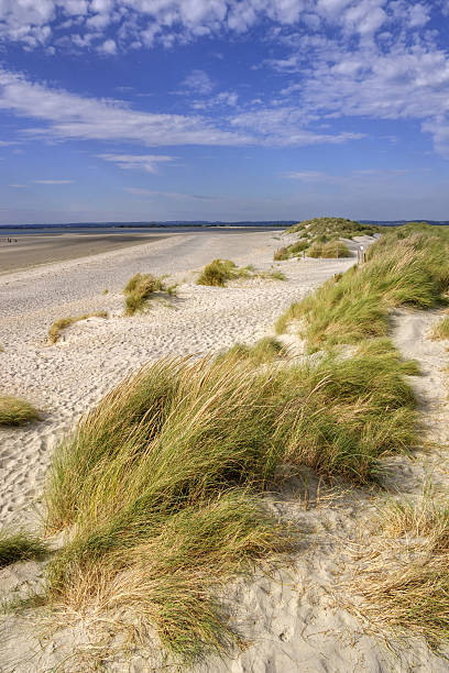 dunes de sable - witterung photos et images de collection