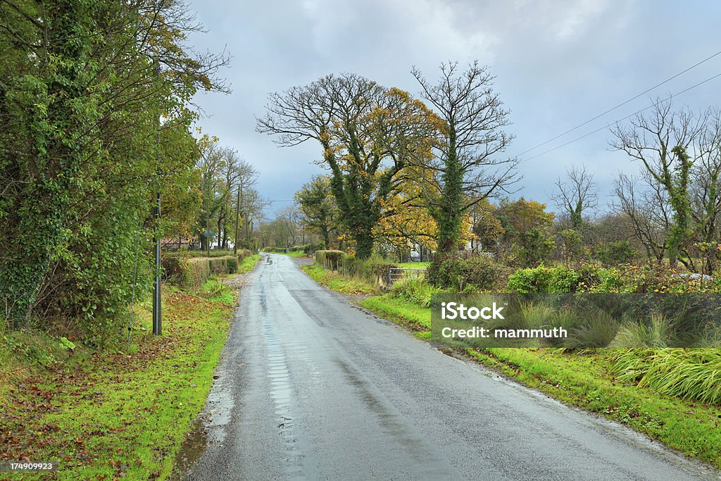 Ländliche Straße in Irland nach dem Regen - Lizenzfrei Baum Stock-Foto