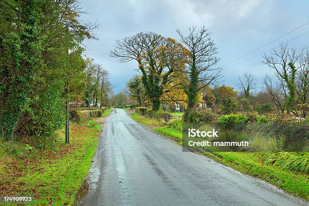 Ländliche Straße In Irland Nach Dem Regen Stockfoto und mehr Bilder von Baum - Baum, Bedeckter Himmel, Einspurige Straße
