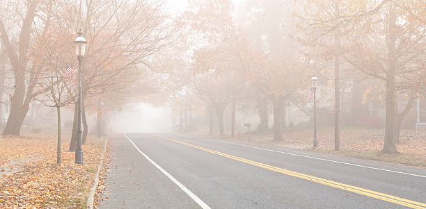 małomiasteczkowa europejską autostrada in the fog - street light fog morning country road zdjęcia i obrazy z banku zdjęć