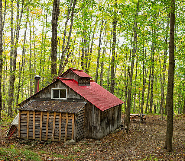 istock Small cabin in the woods 174910199