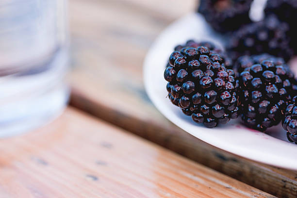 blackberries stock photo