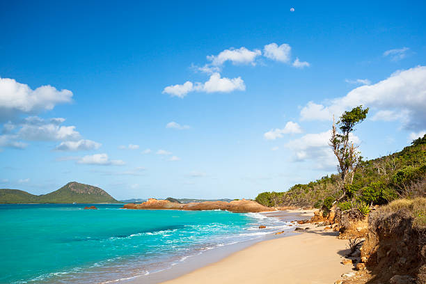 istock Secret Pristine Beach In Antigua 174910326