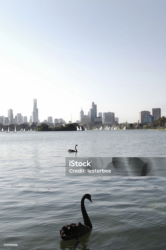 Melbourne panoramę z Albert Park - Zbiór zdjęć royalty-free (Miasto)