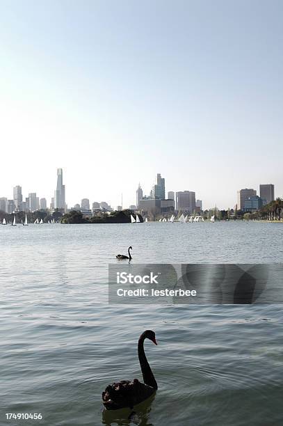 Melbourne Panoramę Z Albert Park - zdjęcia stockowe i więcej obrazów Miasto - Miasto, Albert Park Circuit, Bez ludzi