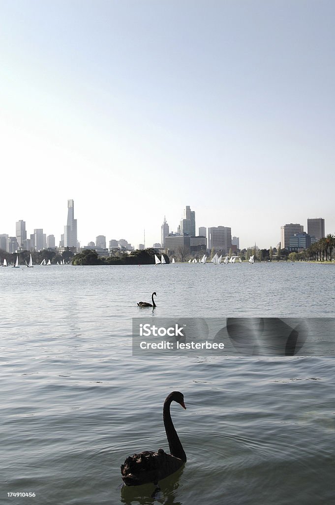 Horizonte de Albert Park Melbourne - Foto de stock de Cidade royalty-free