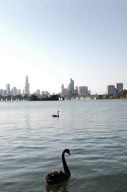 Melbourne, horizonte de Albert Park - fotografia de stock