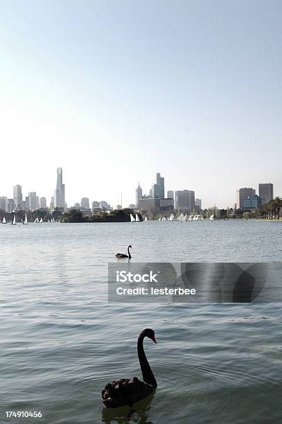 Melbourne Horizonte De Albert Park - Fotografias de stock e mais imagens de Cidade - Cidade, Ao Ar Livre, Capitais internacionais