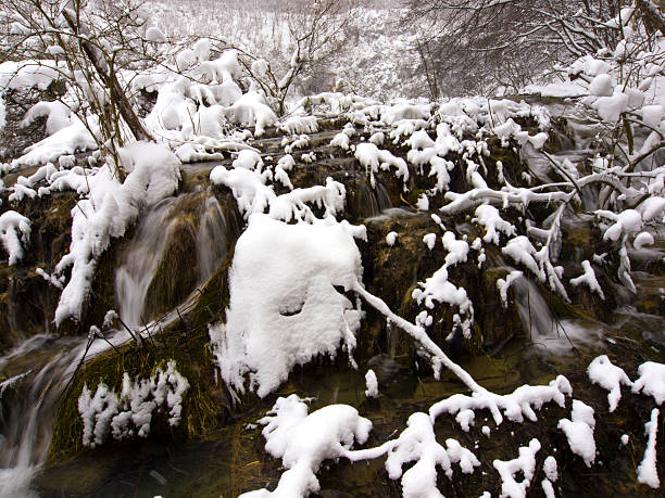 인명별 인공눈 - plitvice lakes national park croatia winter sparse 뉴스 사진 이미지