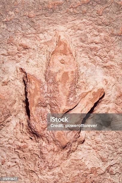 Fossilized Di Dinosauro Ingombro - Fotografie stock e altre immagini di Ambientazione esterna - Ambientazione esterna, Animale estinto, Antico - Condizione