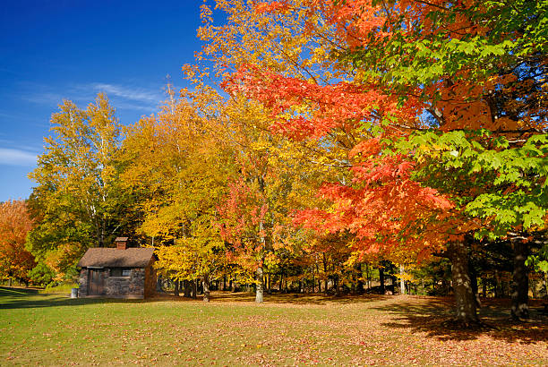 istock Park setting with Autumn colors 174911823