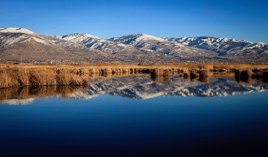 The reflection of the Wasatch Front on Farmington Bay near the Great Salt Lake in Utah.