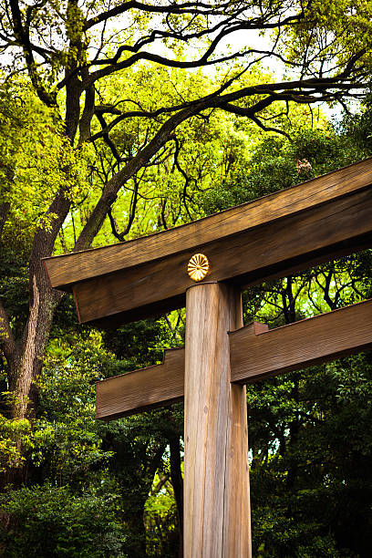 istock Torii Gate at Yoyogi Park, Tokyo 174912089