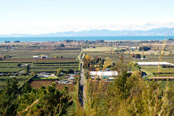 Motueka's Orchard Land, Tasman Region, NZ  motueka photos stock pictures, royalty-free photos & images