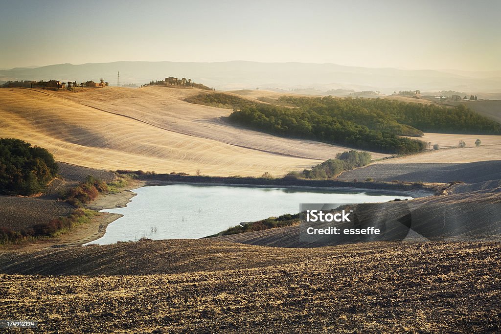 Toscana, Italia, paesaggio della Valle del Chianti - Foto stock royalty-free di Agricoltura