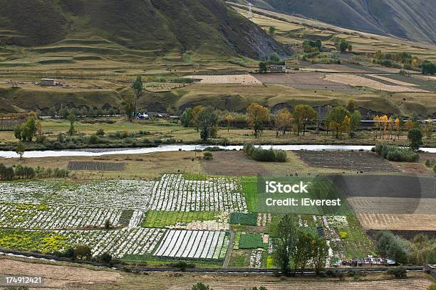 Paisaje De Campo Foto de stock y más banco de imágenes de Agricultura - Agricultura, Aire libre, Ajardinado