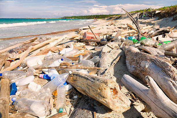 istock Ocean Dumping - Total pollution on a Tropical beach 174912729