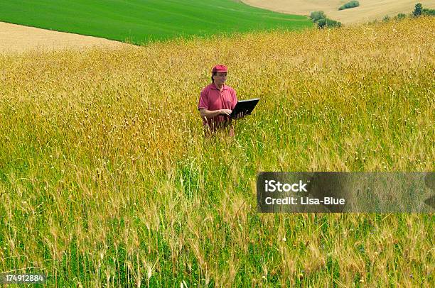 農家を使用している Pc - 1人のストックフォトや画像を多数ご用意 - 1人, インターネット, カラー画像