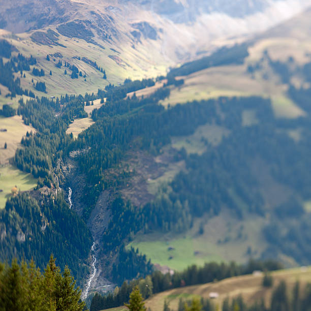 秋の景観にベルナーアルプススイス - tilt shift lens landscape mountain range overcast ストックフォトと画像