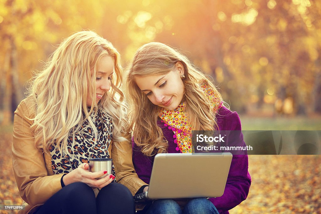 Sus amigos utilizando portátil en el parque otoño - Foto de stock de 20 a 29 años libre de derechos