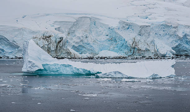 istock Calved Iceberg in front of Glacier 174913129