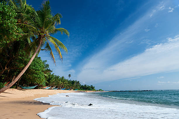 istock Paradise - tropical beach, Sri Lanka 174913216